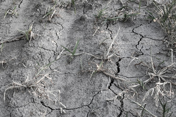 arid land cracked by drought, lack of precipitation and rain