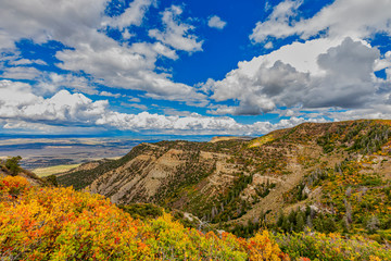 "View from Mesa Verde"