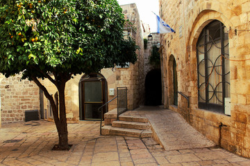 Orange tree on the street in the center of the old city of Jerusalem. The street is Jerusalem.