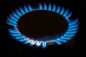 gas stove burner close-up, gas energy concept