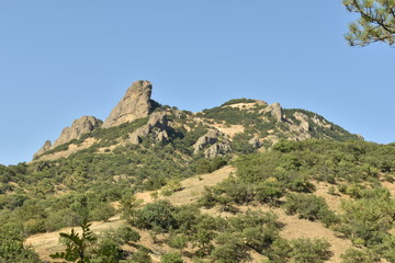 landscape in the mountains