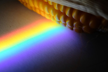Rainbow color light, spectrum of visible light on a dry corncob