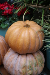 Decorative yellow pumpkin on wooden table.