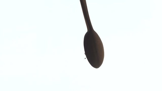 Split black gram seeds poured from a wooden spoon against a white background