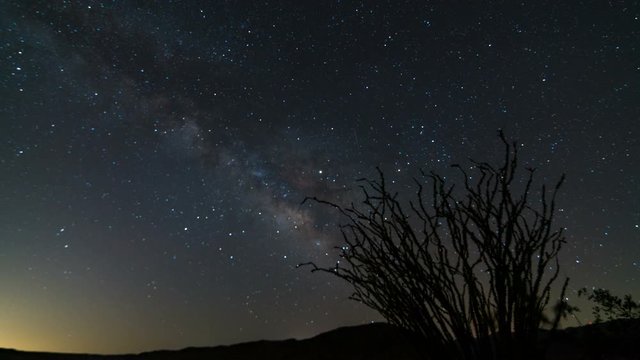 Astro Timelapse of Milky Way Galaxy over Ocotillo Tree in Anza Borrego Desert