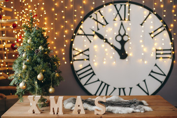 Christmas decor, dried fruits, wooden toys, New Year.