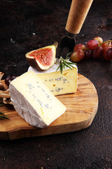 Camembert cheese and rosemary spice on rustic background