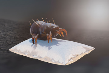 house dust mite on pillow 3d render
