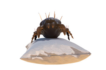 house dust mite on pillow 3d render