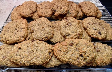 Home baking fresh made oatmeal raisin cookie bars