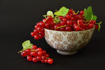 A bowl of ceramics with fresh redcurrants against a dark background with free space