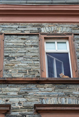 Cat in window in Bernkastel, Germany 