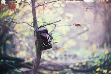 Old Folding Camera