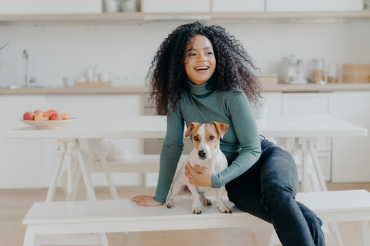 Joyful Afro woman sits at white bench together with dog against kitchen interior, table with plate full of red apples, get pleasure while playing at home. Animal owner feels care and responsibility