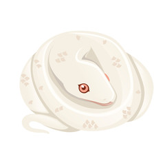 White albino snake cartoon animal design flat vector illustration isolated on white background