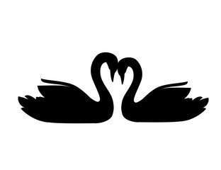 Black silhouette pair of big white swan cute animal love cartoon animal design flat vector illustration isolated on white background