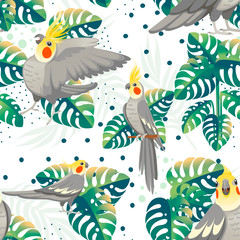 Seamless pattern of adult parrot of normal grey cockatiel (Nymphicus hollandicus, corella) and tropical green leaves cartoon bird design flat vector illustration on white background