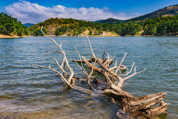 Fototapeta na wymiar Landscape of the Lake Bor in eastern Serbia