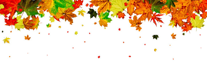 Autumn leaves wind. November falling pattern background. Season