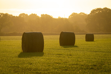 Strohballen im Sonnenaufgang © Ben.Photoholic