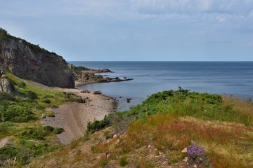 Fototapeta na wymiar hovs hallar - cliffs and sea in sweden 