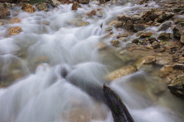 Rio na Floresta