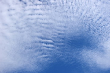 Schäfchenwolken am blauen Himmel