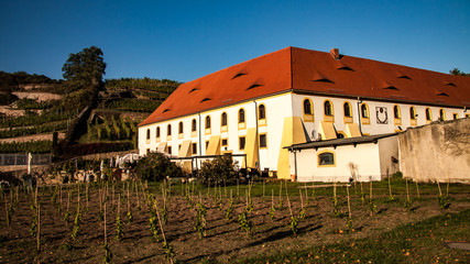 Fototapeta na wymiar houses at the vineyard in Diesbar-Seußlitz