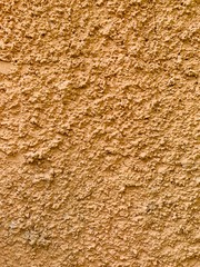 texture of wood