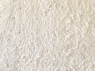 white carpet texture of rice