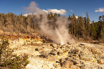 Geysier im Yellowstone Nationalpark