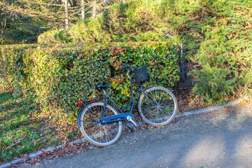 Fototapeta na wymiar bicycle in the park