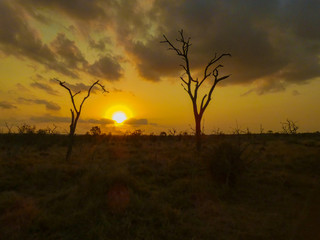 Tramonto Africano