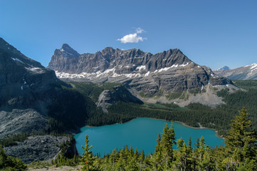 Mt. Biddle and Mt. Schaffer towering over glacier fed turquoise colored Lake O'Hara under a blue sky, Yoho National Park, British Columbia, Canada