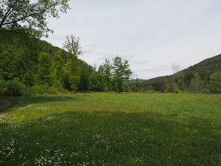 Landschaften – Fischbach bei Dahn – Ortsgemeinde in Rheinland-Pfalz