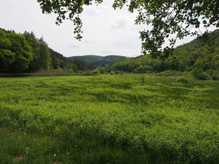 Landschaften &ndash; Fischbach bei Dahn &ndash; Ortsgemeinde in Rheinland-Pfalz