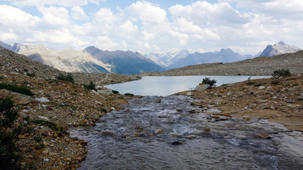 Fototapeta na wymiar Yoho Alpine Stream 