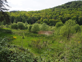 Fototapeta na wymiar Landschaften – Fischbach bei Dahn – Ortsgemeinde in Rheinland-Pfalz