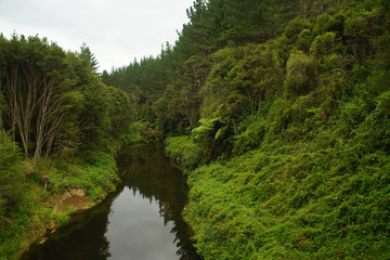 Countryside of New zealand