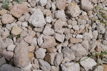 Pumice Stones