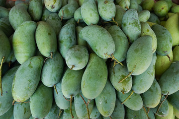 A pile of fresh green mangoes selling in street food market. Whole mangoes texture for food package design, green fruit background.