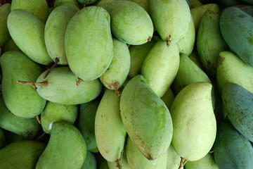 A pile of fresh green mangoes selling in street food market. Whole mangoes texture for food package design, green fruit background.
