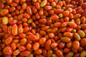  Mak̄heụ̄xtheṣ̄ k̄hāy nı tlād 19/5000 Tomatoes for sale in the market
