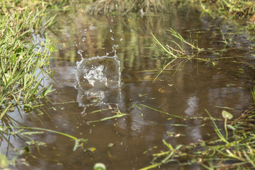 Glassy water drop