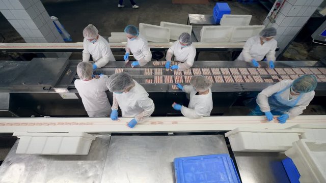 Female food factory technicians are filling plastic plates with crab sticks