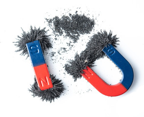 Horseshoe magnet and bar magnet attracting iron powder on white background