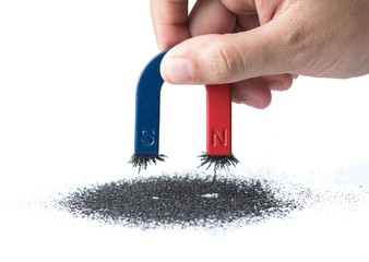 Hand holding horseshoe magnet attracting iron powder on white background