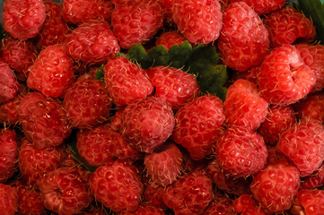 fresh raspberries background