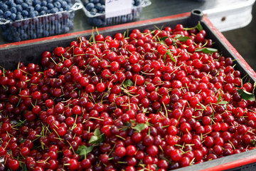 Natural background with red cherry fruits