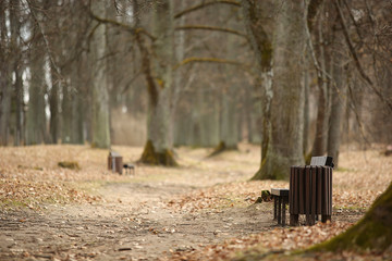 view of the park with a bench